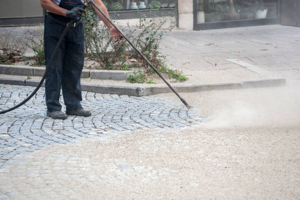 Best Driveway Pressure Washing  in Dortches, NC